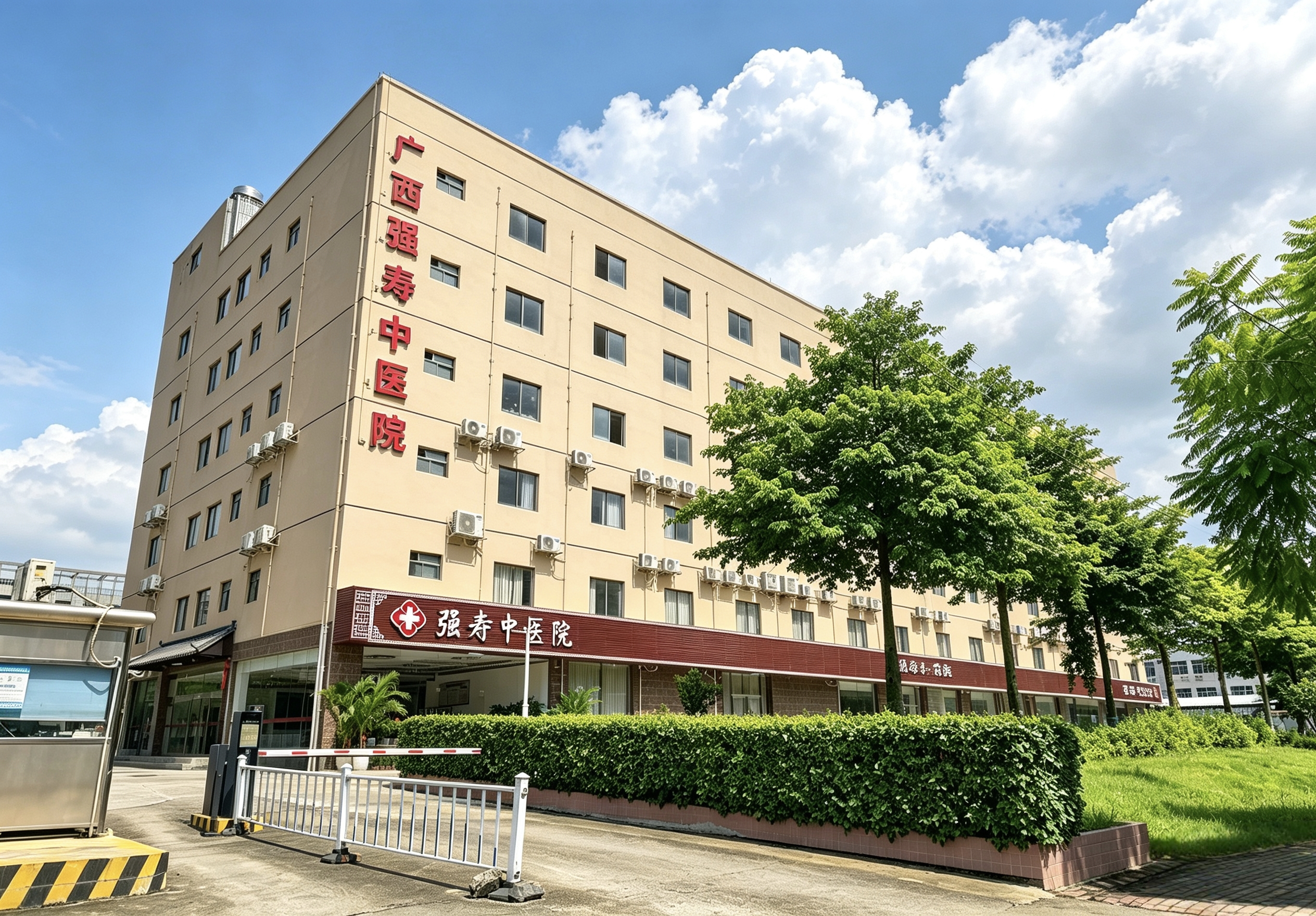 国医大师传承+AI智慧医疗：广西强寿中医院发展纪实
